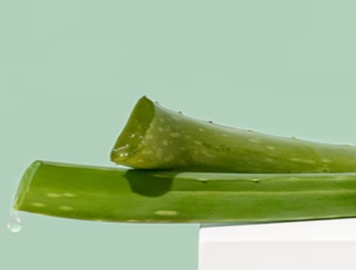 H.E.A.L. Quick Miracle Lotion with God Heals Oil 8.2 fl oz, by Century Systems