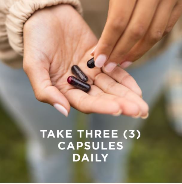 Full Spectrum Curcumin Brain Works 90 Licaps