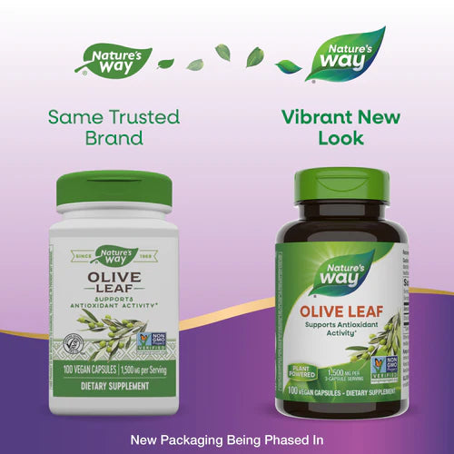 Olive Leaf 500 mg 100 Vegetarian Capsules