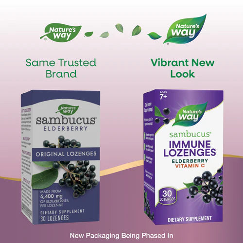 Original Sambucus Standardized Elderberry 30 Lozenges