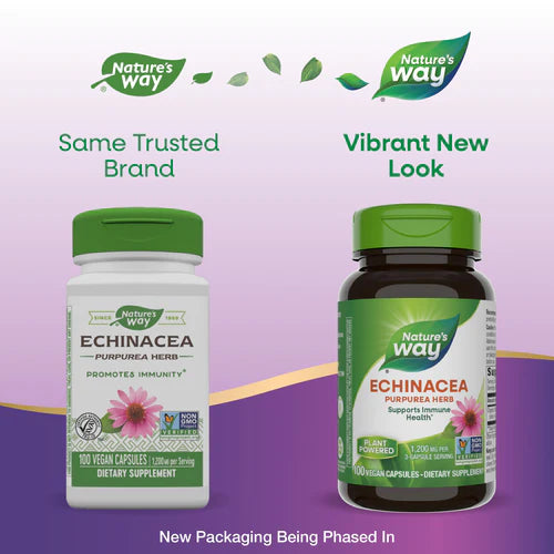 Echinacea Purpurea Herb 400 mg 100 Vegetarian Capsules