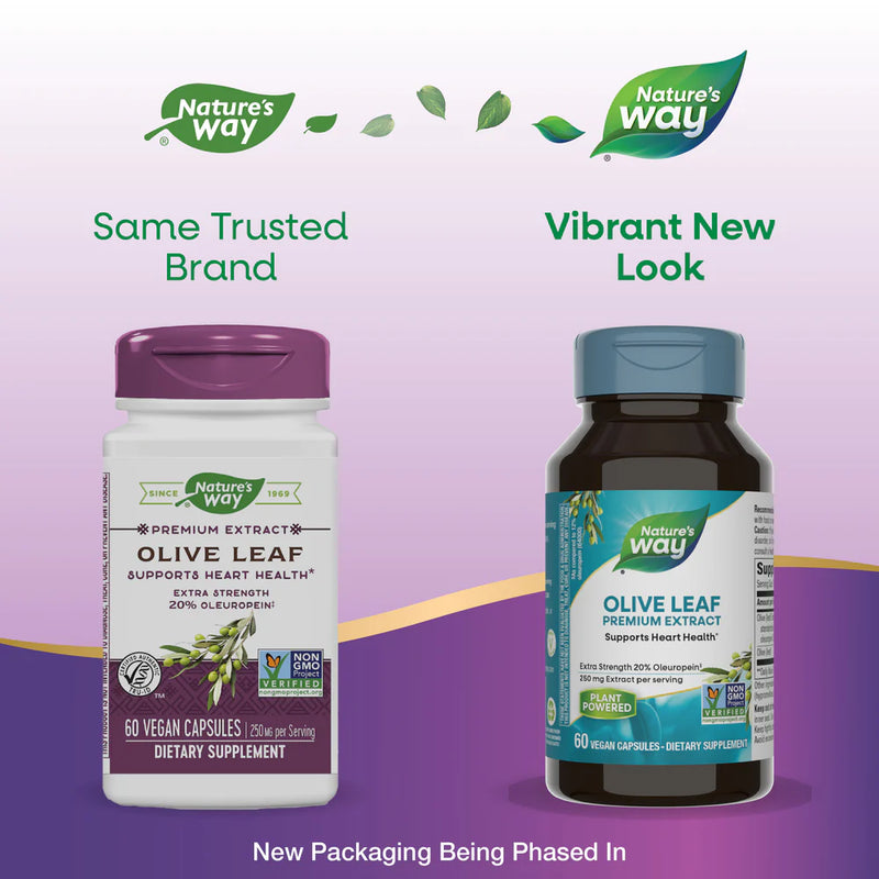 Olive Leaf Standardized 20% Oleuropein 60 Veg Capsules