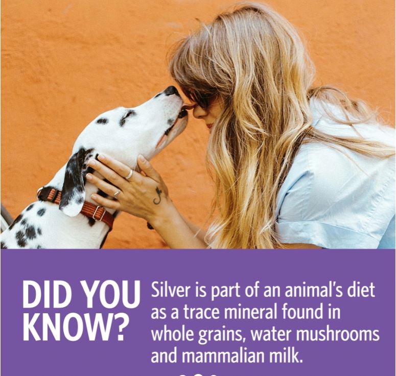 PETS Bio-Active Silver Hydrosol – Fine Mist Spray – 2oz