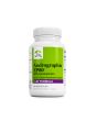 Terry Naturally Andrographis EP80 with Umckaloabo, 60 Capsules, by Europharma