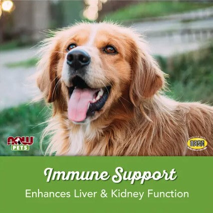Immune Support, For Dogs/Cats, 90 Chewable Tablets, by NOW Pets