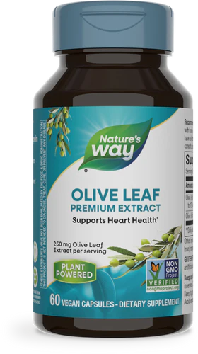 Olive Leaf Standardized 12% Oleuropein 60 Veg Capsules by Nature&