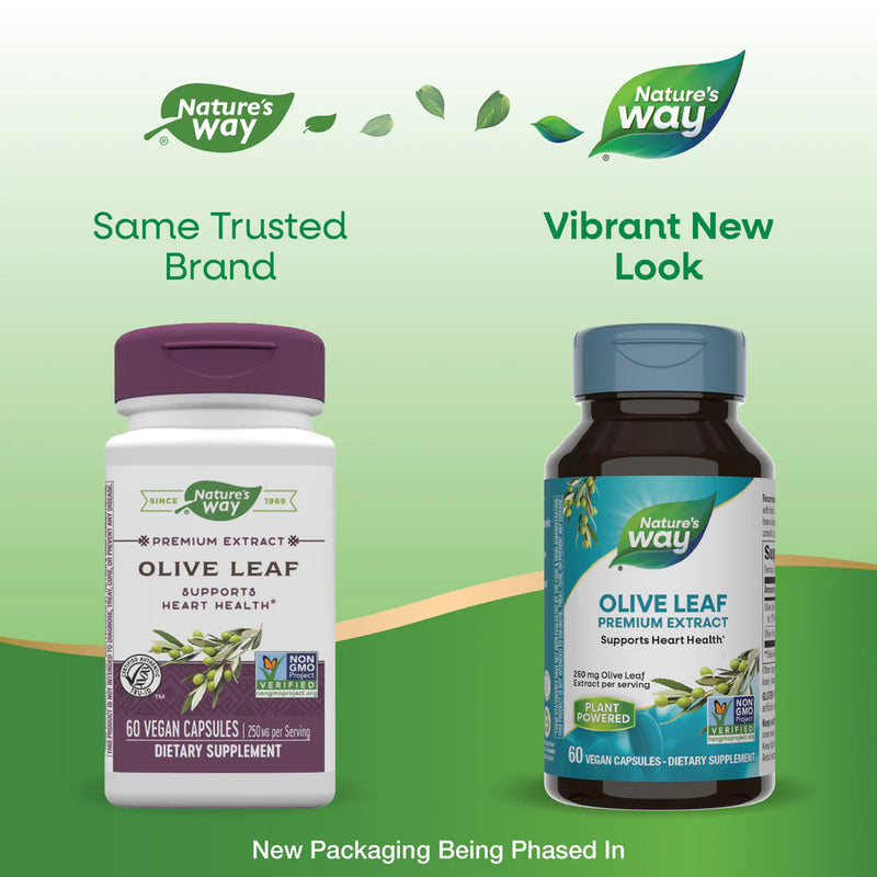Olive Leaf Standardized 12% Oleuropein 60 Veg Capsules by Nature&