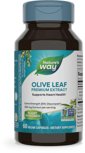 Olive Leaf Standardized 20% Oleuropein 60 Veg Capsules