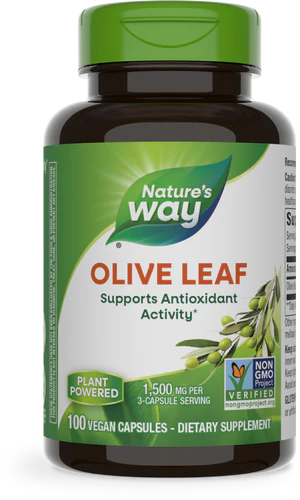 Olive Leaf 500 mg 100 Vegetarian Capsules