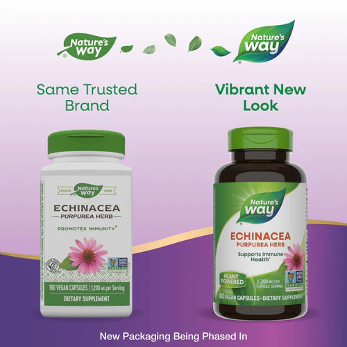 Echinacea Purpurea Herb 400 mg 180 Vegetarian Capsules